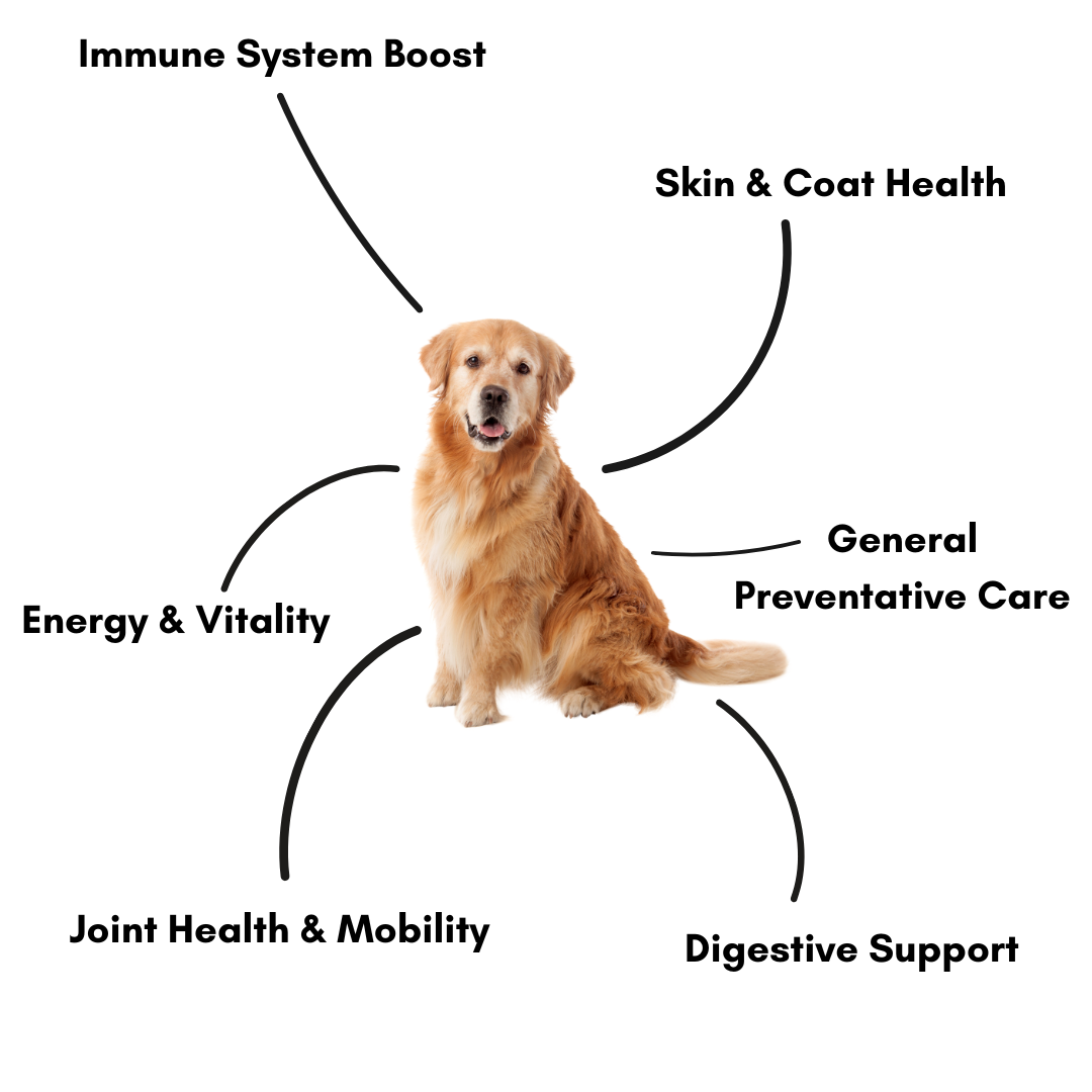 View of Pawsome Nutrition Complete Canine 200g – Dog Supplement NZ