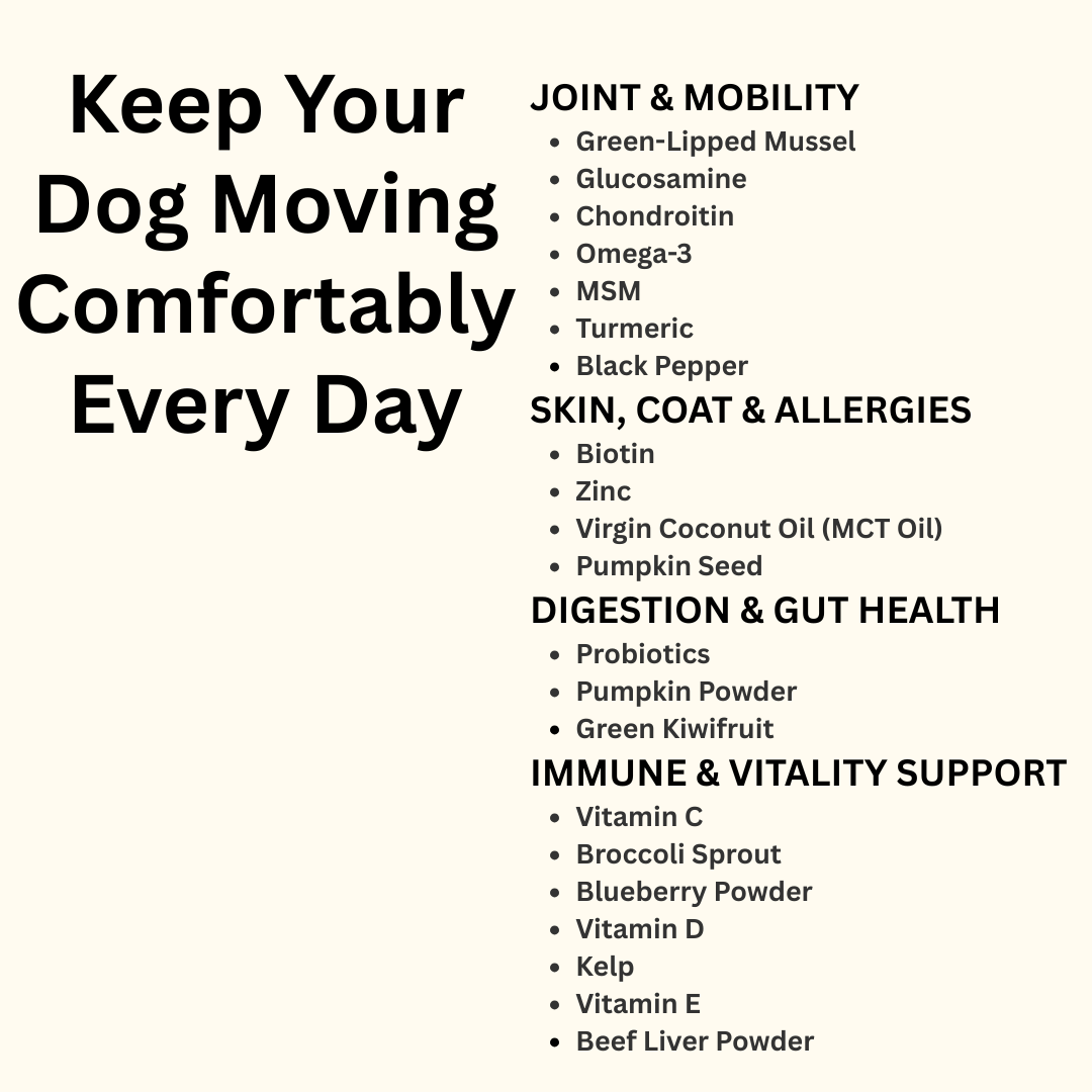 Joint Support for Dogs